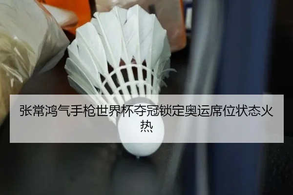 张常鸿气手枪世界杯夺冠锁定奥运席位状态火热 - yaxin